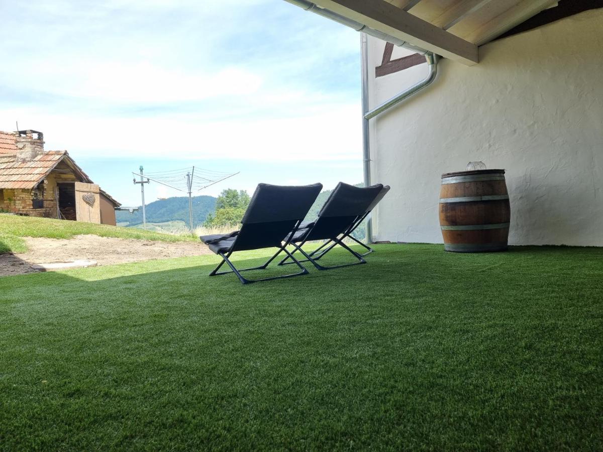 Villa Haus Am Berg Mit Wellnessbereich, Bar Und Panorama à Bühlertal Extérieur photo