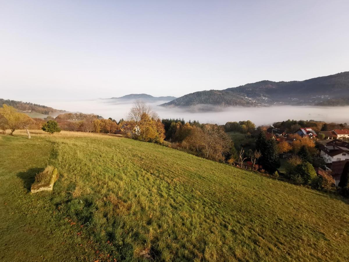 Villa Haus Am Berg Mit Wellnessbereich, Bar Und Panorama à Bühlertal Extérieur photo