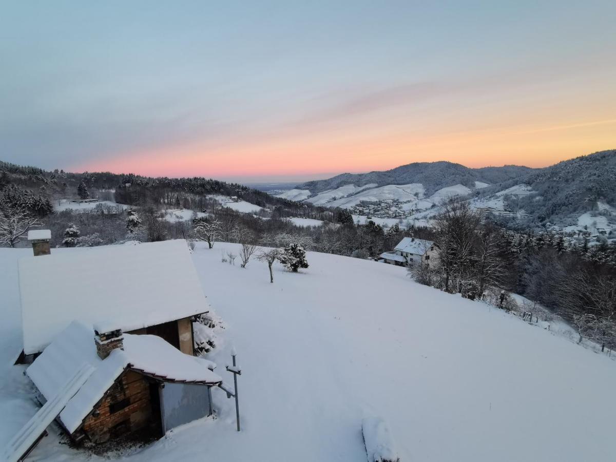 Villa Haus Am Berg Mit Wellnessbereich, Bar Und Panorama à Bühlertal Extérieur photo