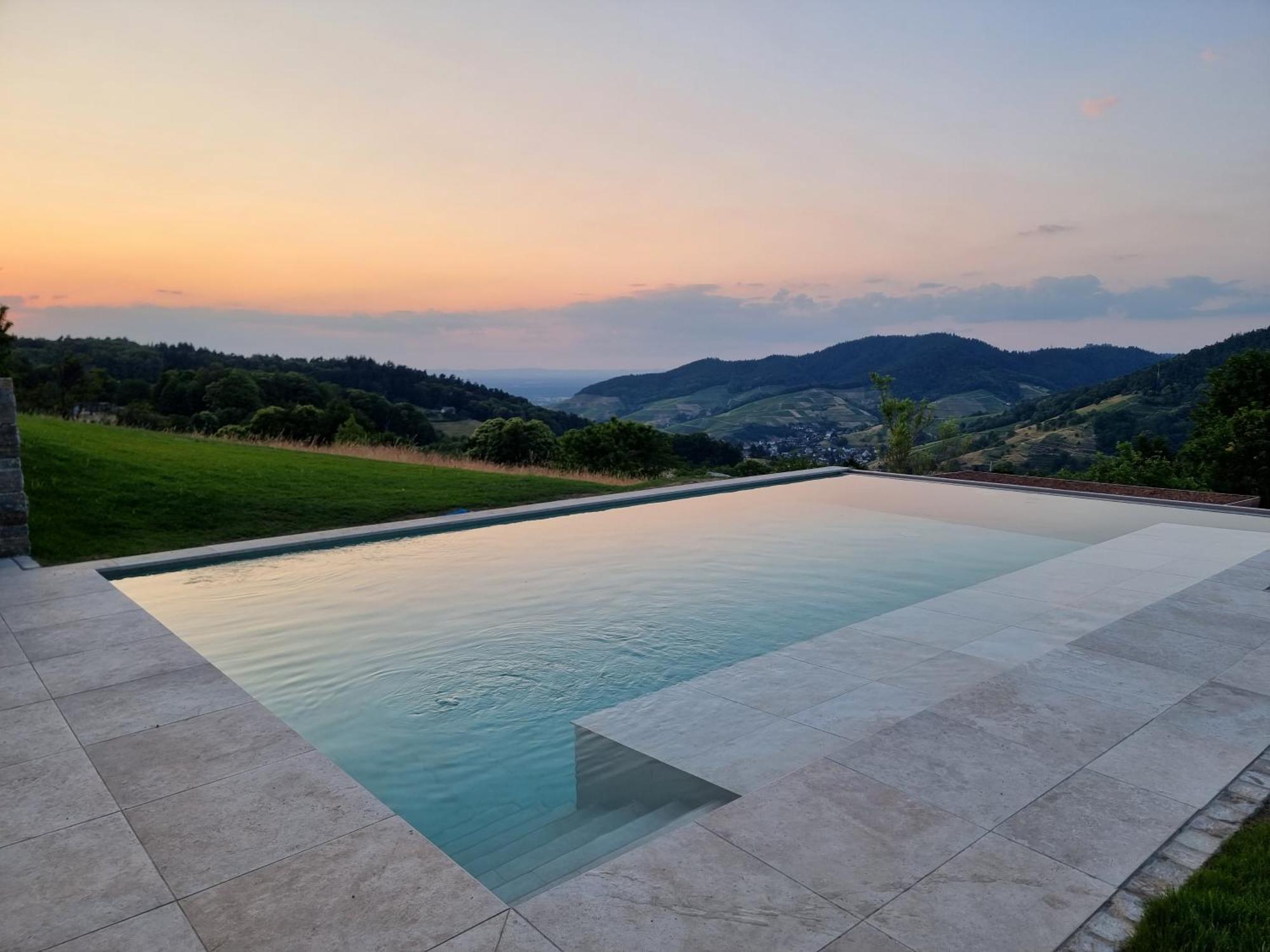 Villa Haus Am Berg Mit Wellnessbereich, Bar Und Panorama à Bühlertal Extérieur photo